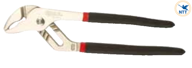 KÌM-MỎ-QUẠ_6016b9f7