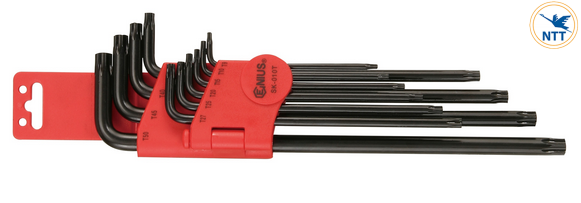 SK-010T-BỘ-LỤC-GIÁC-HAI-ĐẦU-SAO-CÓ-LỖ-TRÒN-Ở-GIỮA-10-CHIẾC-GENIUS_ec9f681