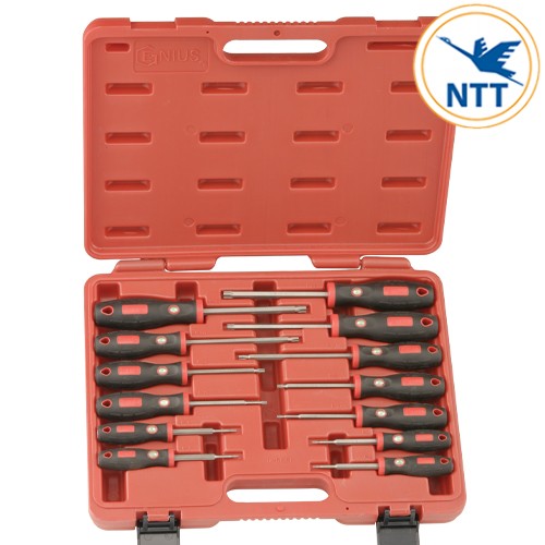 TR-513ST-BỘ-TUỐC-NƠ-VÍT-ĐẦU-SAO-TAY-CẦM-CAO-SU-13-CHIẾC-GENIUS_ba02c4bc