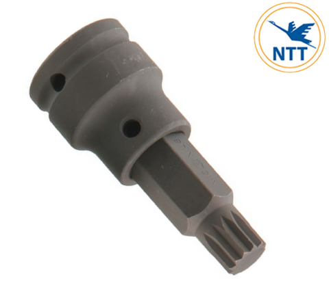 dau-khau-dau-vit-hinh-sao-12-dinh_genius_bb678509