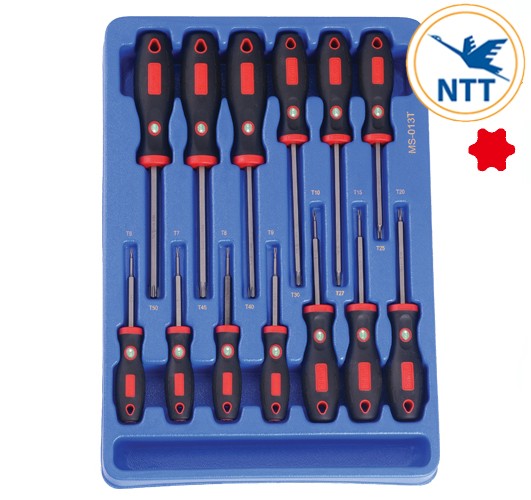ms-013t-khay-dung-bo-tua-vit-da-nang-dau-sao-13-chiec-genius_a611261d-jpg