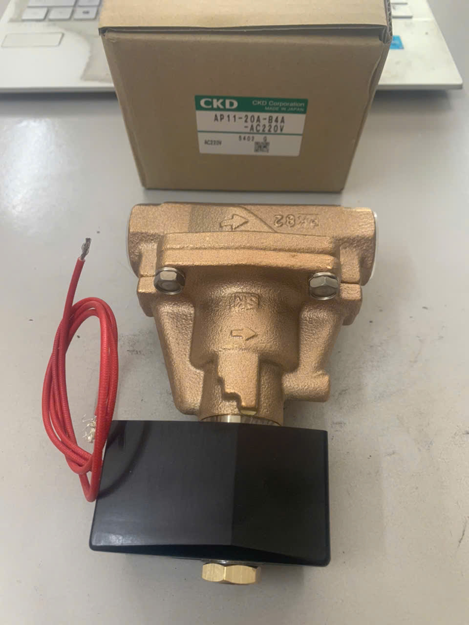 AP11-20A-B4A-AC220V-1